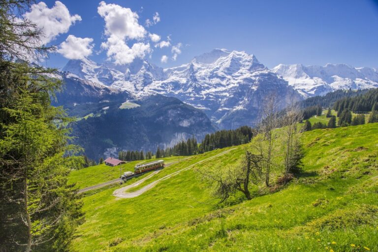 train-runs-through-beautiful-landscape-swiss-alps_181624-37124